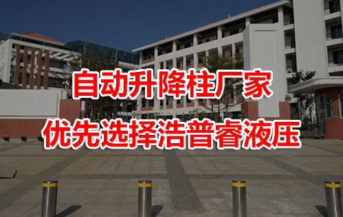自动升降柱厂家