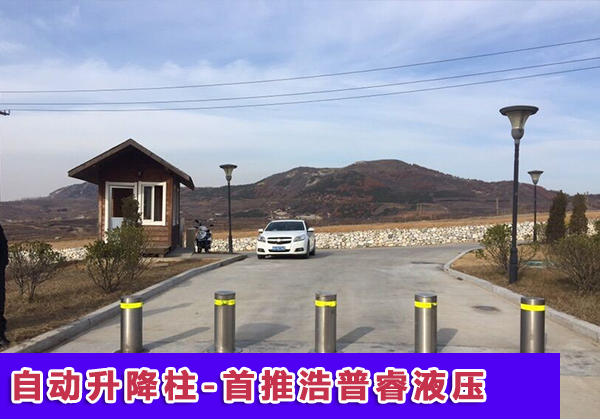 西安自动升降柱